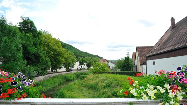 Auch hier: Farbenfrohe Blumen.