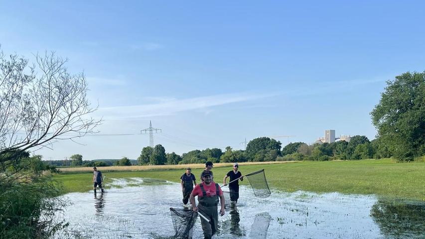 Die Teichwirte können das Wasser jetzt nur langsam über die Mönche ablaufen lassen, weil die Böden so vollgesogen sind. Wenn also wieder Starkregen kommt,  haben die Speicher noch nicht wieder ihre volle Kapazität.