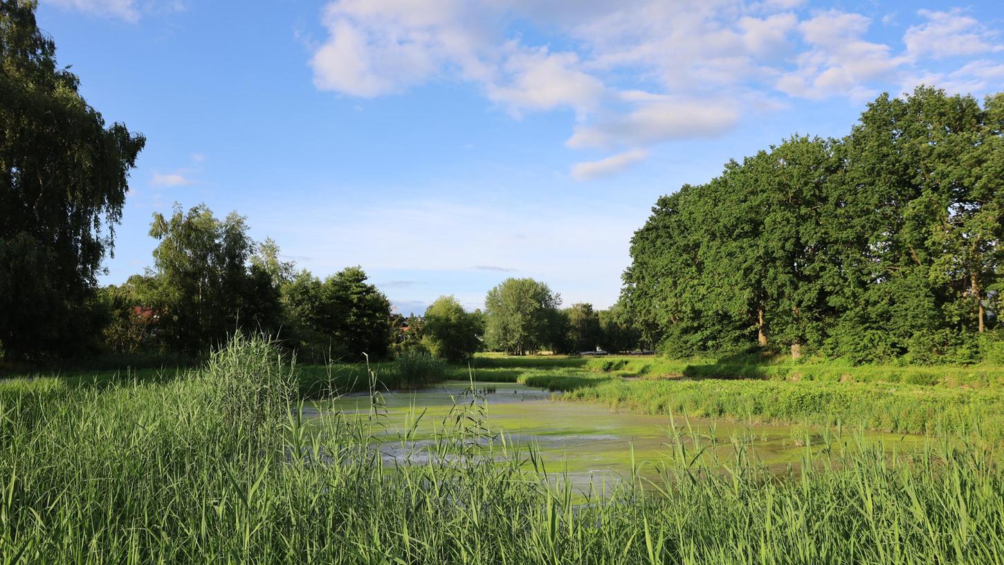 Flirt Nordbayern Kosten flirt nordbayern kosten