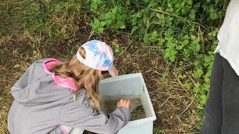 Forschen, fast wie die Profis. Hier werden kleine Wassertierchen untersucht.