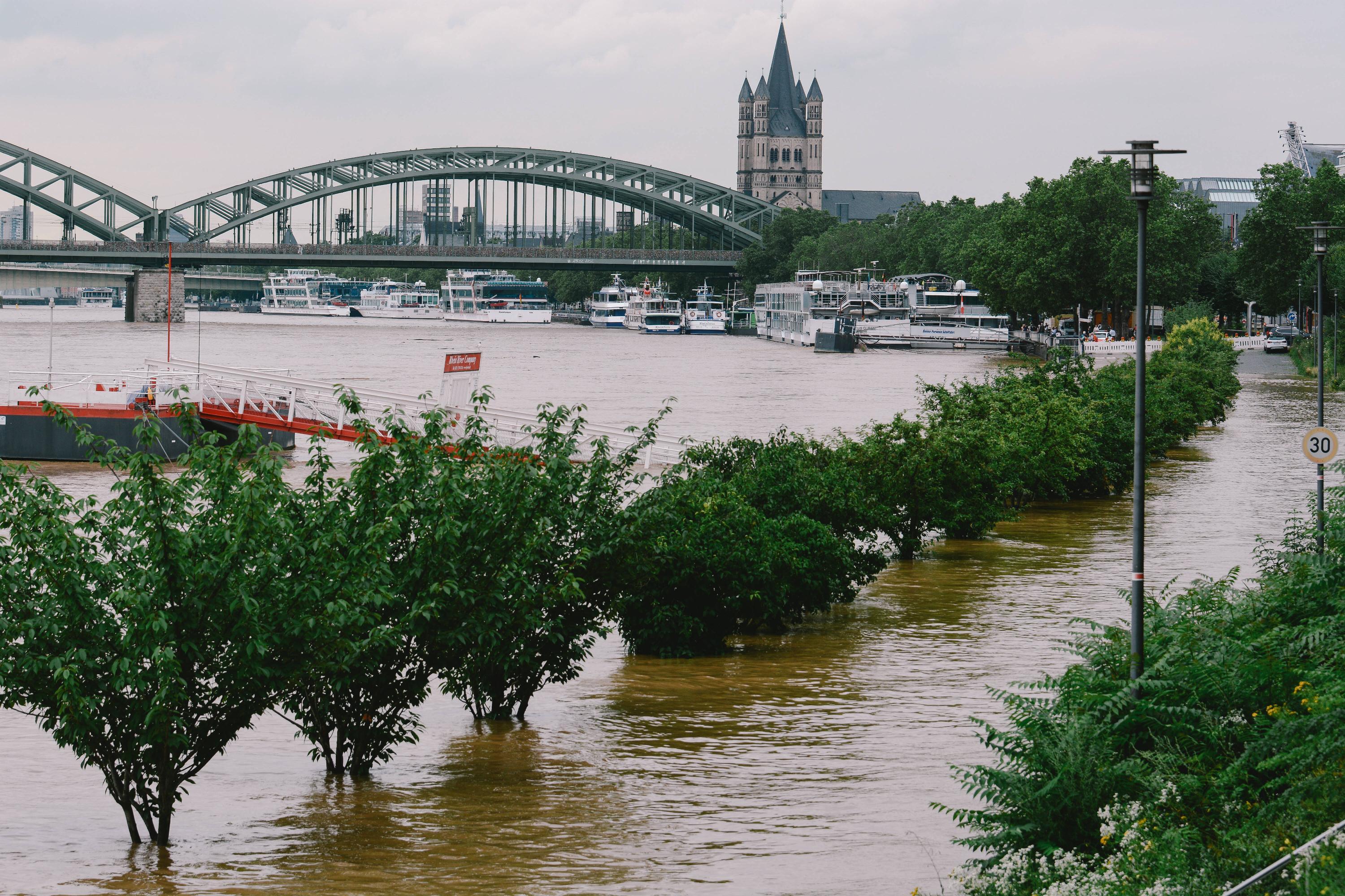 Auch in Köln steht das Wasser des Rheins extrem hoch. 