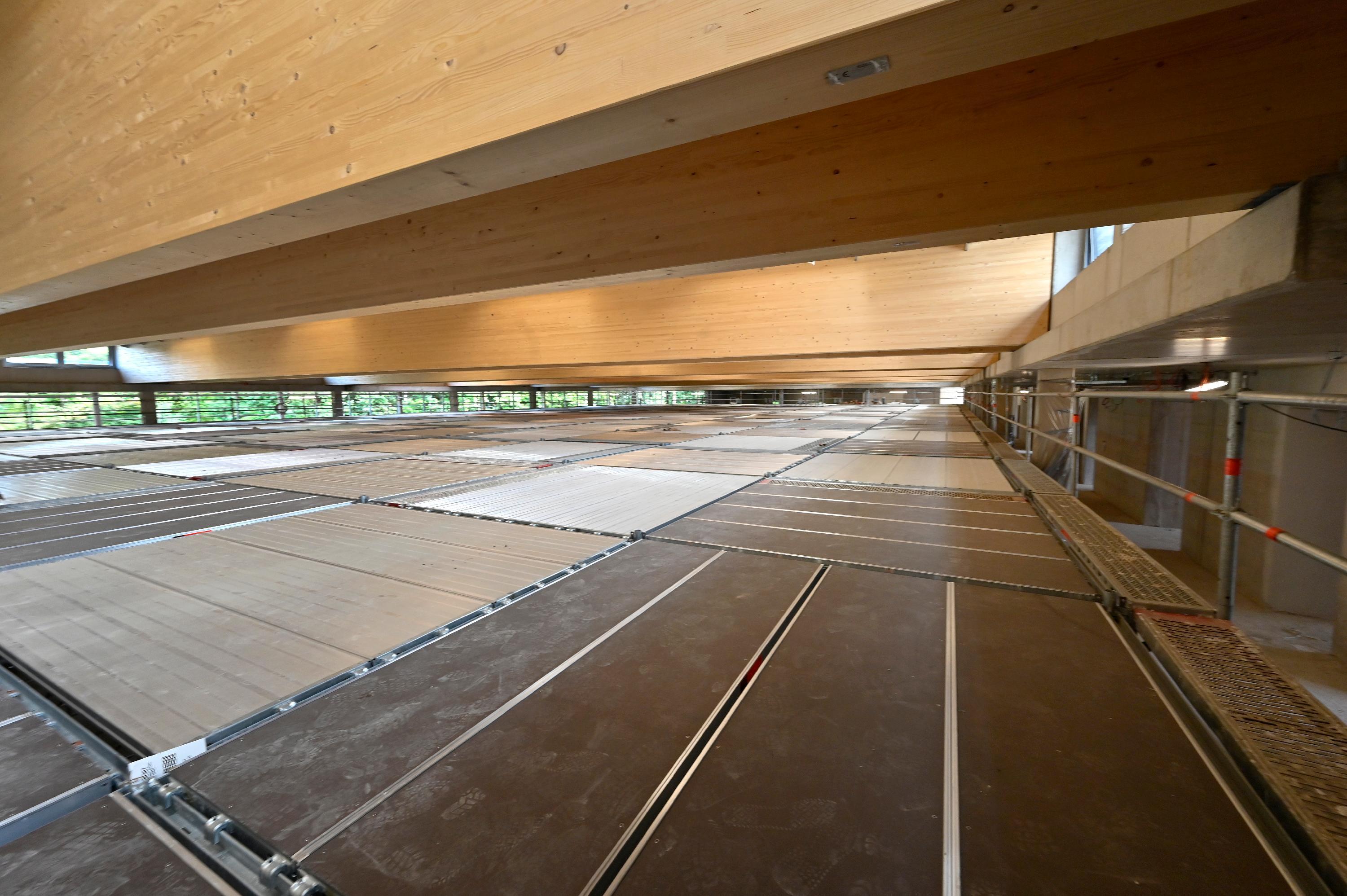 Lange hat das Projekt Hartmannstraße Erlanger Referenten, Kommunalpolitiker und Sportfunktionäre beschäftigt, nun wächst es Tag für Tag. 