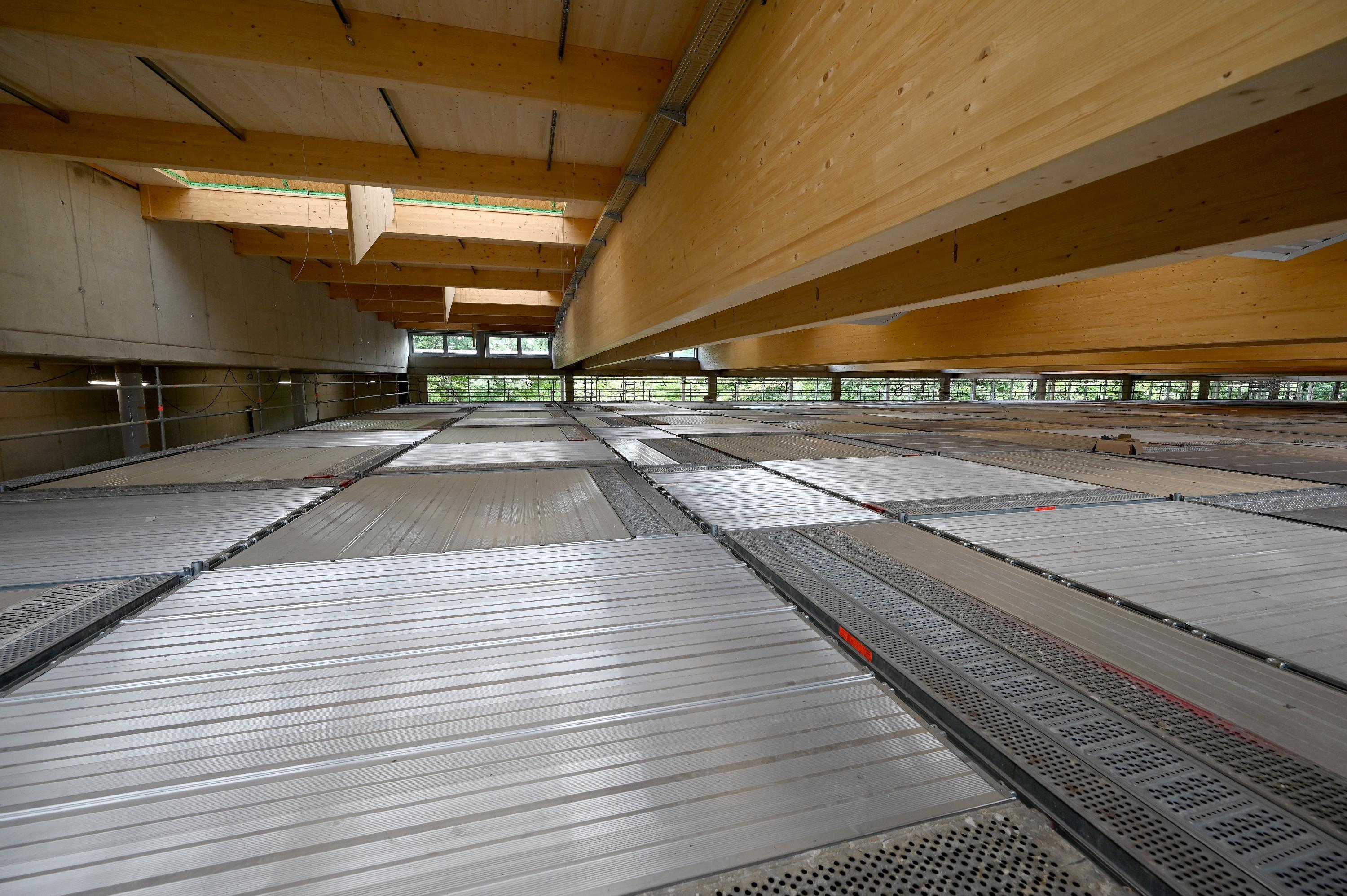 Besonders auf die Halle freuen sich die Erlanger Sportler schon.