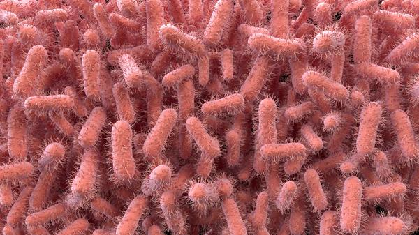 imago images 102892570