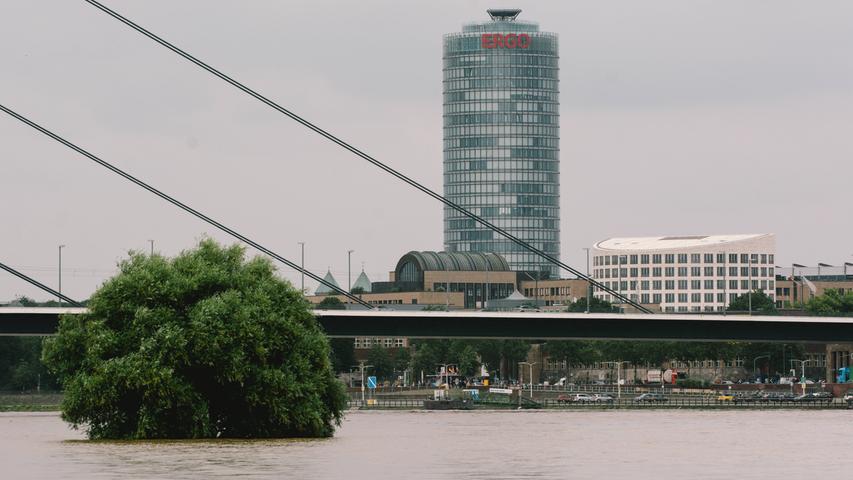 Auch große Städte wie Düsseldorf wurden getroffen. Der Rhein überflutete nahezu meterhohe Bäume.