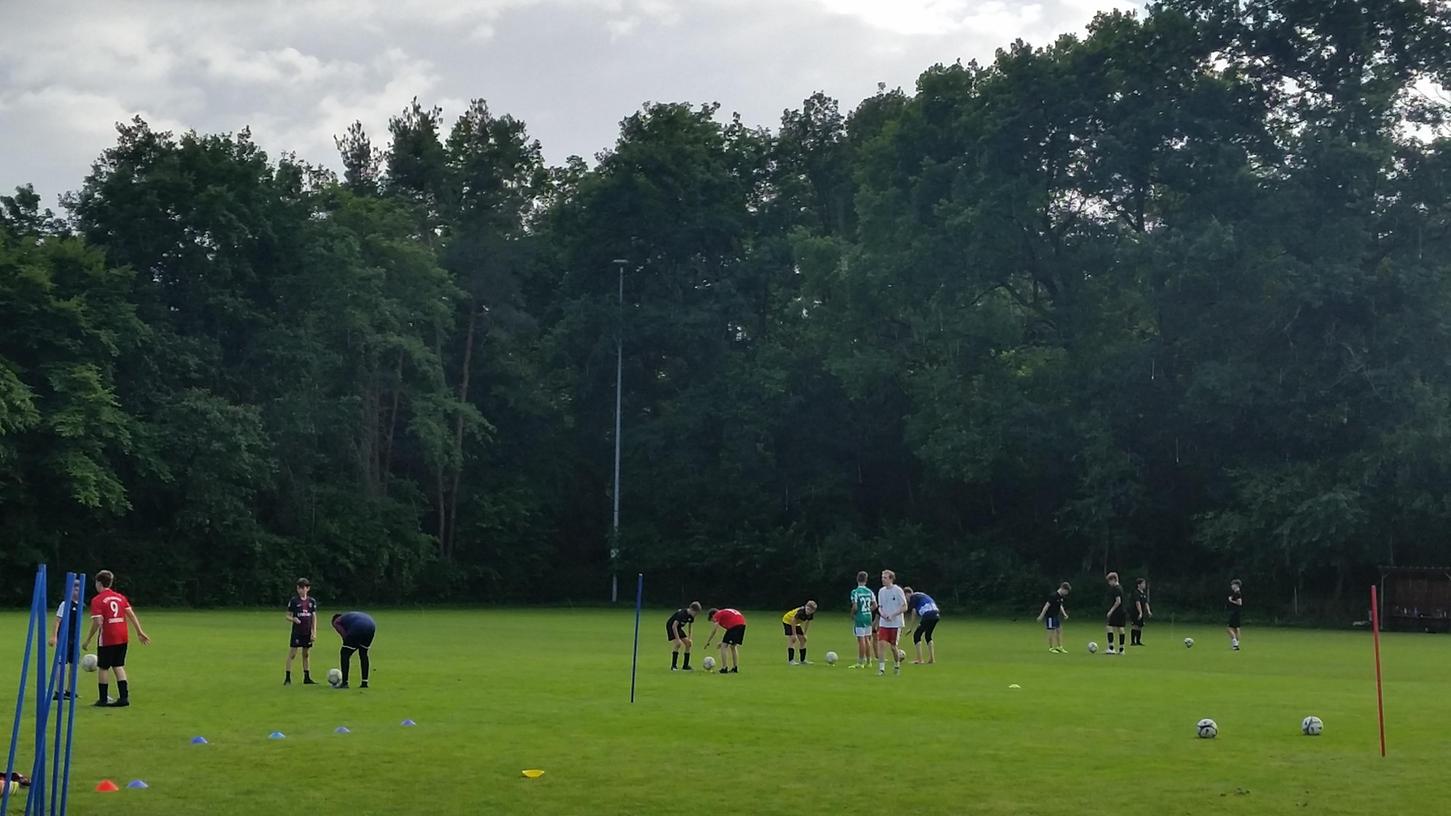 Um das derzeit noch bestehende Waldstück beim Spardorfer Sportplatz sorgen sich die Um das derzeit noch bestehende Waldstück beim Spardorfer Sportplatz sorgen sich die