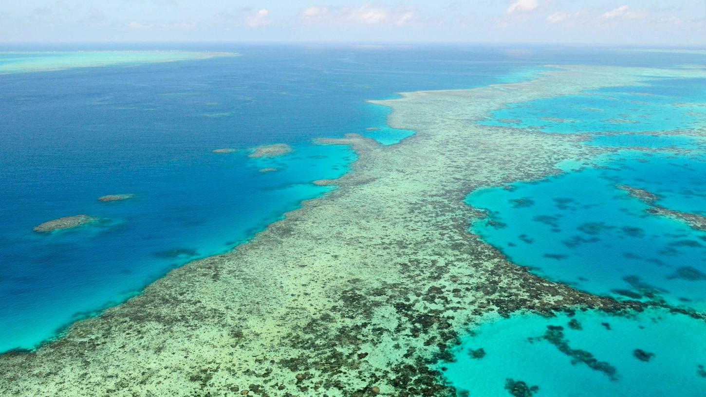 Great Barrier Reef soll als "gefährdetes" Welterbe eingestuft werden