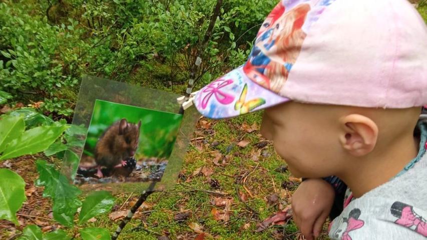 Von und in der Natur lernen, das ist das Konzept der Draußenschule. Von und in der Natur lernen, das ist das Konzept der Draußenschule.
