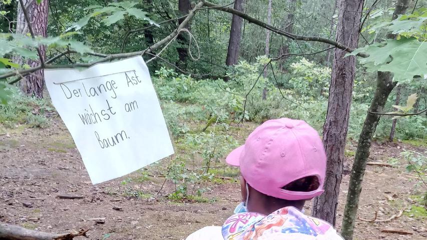 Auch Deutsch und Mathe stehen auf dem Plan. Auch Deutsch und Mathe stehen auf dem Plan.