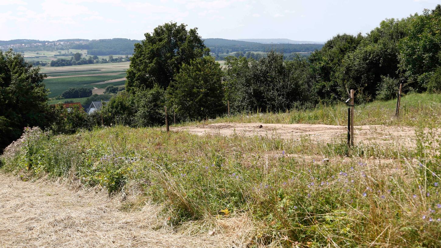 Auf mehr als 1000 Quadratmetern (und teils über zwei Meter hoch) hat ein Bauherr seinen Aushub in Reuth planieren und mit Bäumchen bepflanzen lassen. 