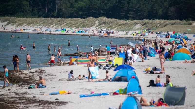 Viele Ostseebäder machen derzeit mit Aushängen auf die Gefahr durch Vibrionen aufmerksam.
Viele Ostseebäder machen derzeit mit Aushängen auf die Gefahr durch Vibrionen aufmerksam.