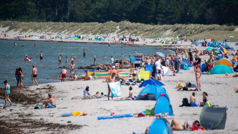 Viele Ostseebäder machen derzeit mit Aushängen auf die Gefahr durch Vibrionen aufmerksam.