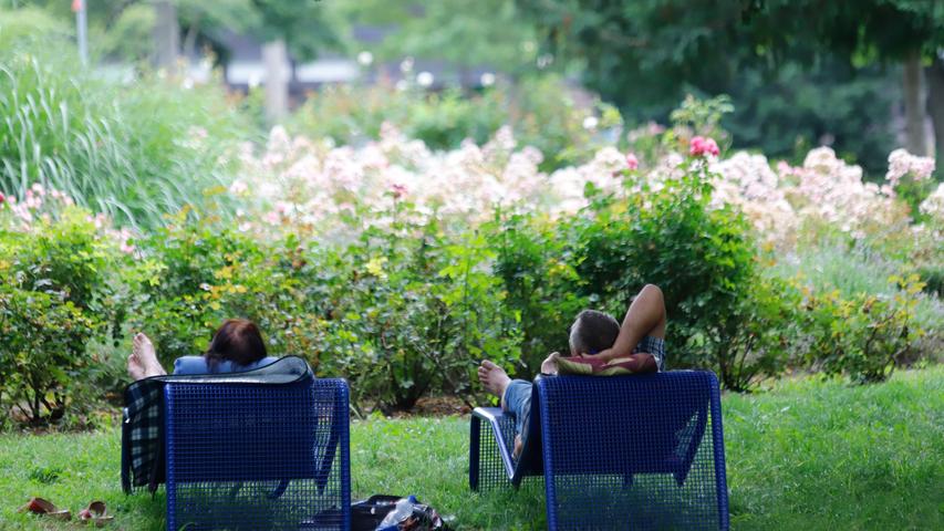 Der Nürnberger Stadtpark soll schöner werden - das sind die Pläne