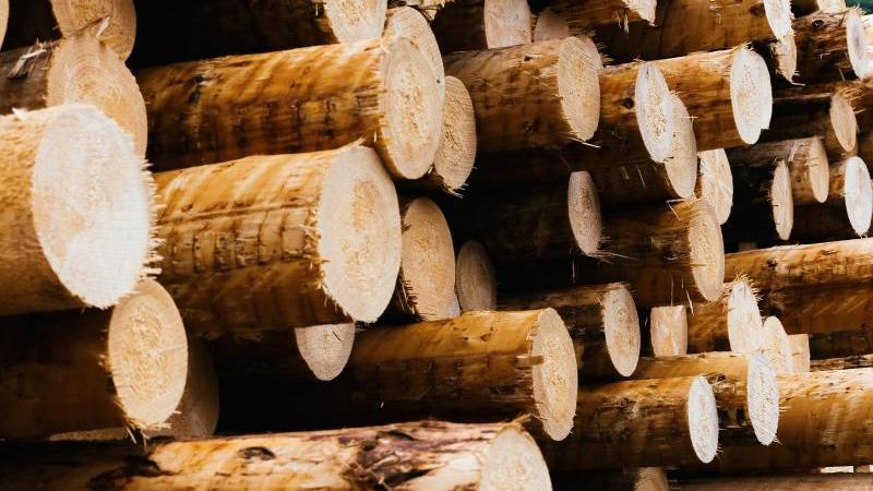 Industrielle Vorprodukte wie Holz sind knapp - das setzt Industrie und Handwerk unter Druck.