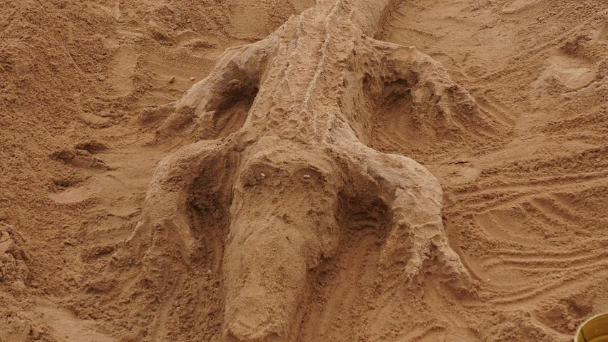 Horst Kuhn aus Meinheim modellierte ein detailgetreues Krokodil aus dem Sand.