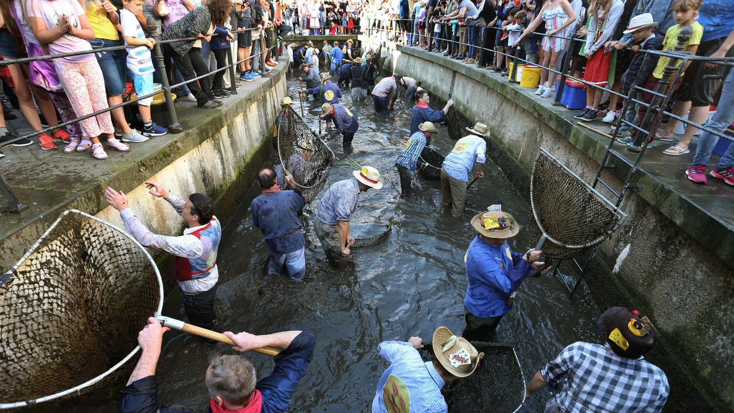 Beim Memminger Fischertag standen bisher beim Ausfischen und der Jagd auf die größte Forelle nur Männer im Stadtbach. 