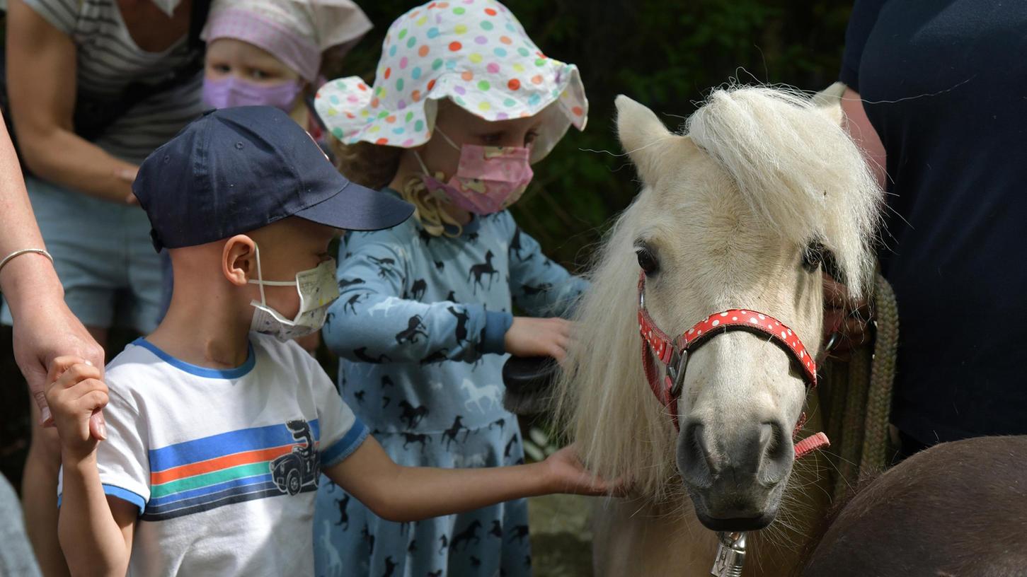 Füttern, streicheln, bürsten: Die Kinder durften den Shetlandponys ganz nah kommen.