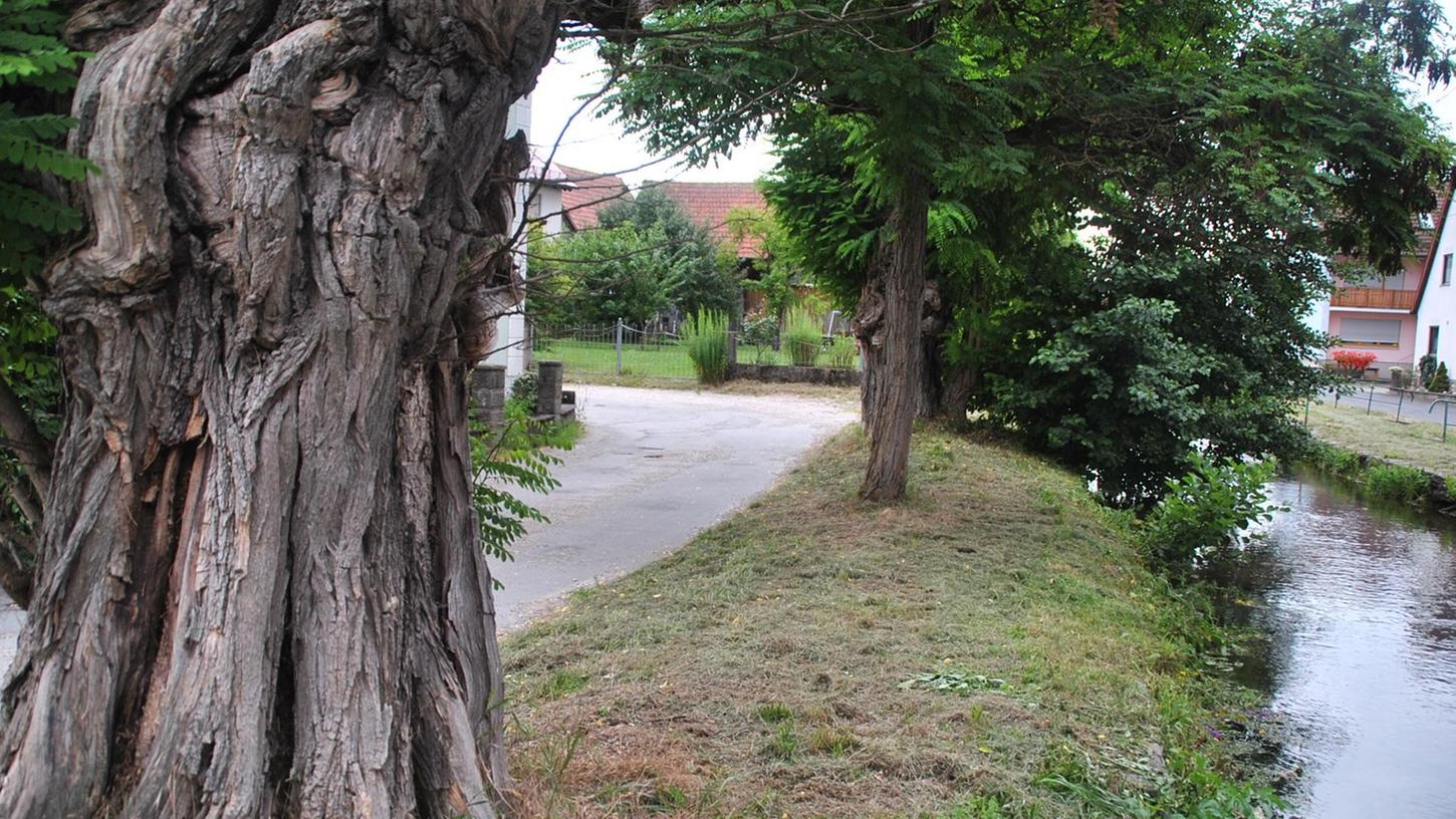 Ortsbildprägend und historisch: Der Bereich der Judengasse in Pretzfeld wird überarbeitet.   