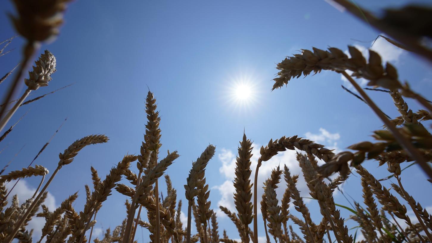 Franken erwartet ein Samstag mit viel Sonnenschein
Franken erwartet ein Samstag mit viel Sonnenschein