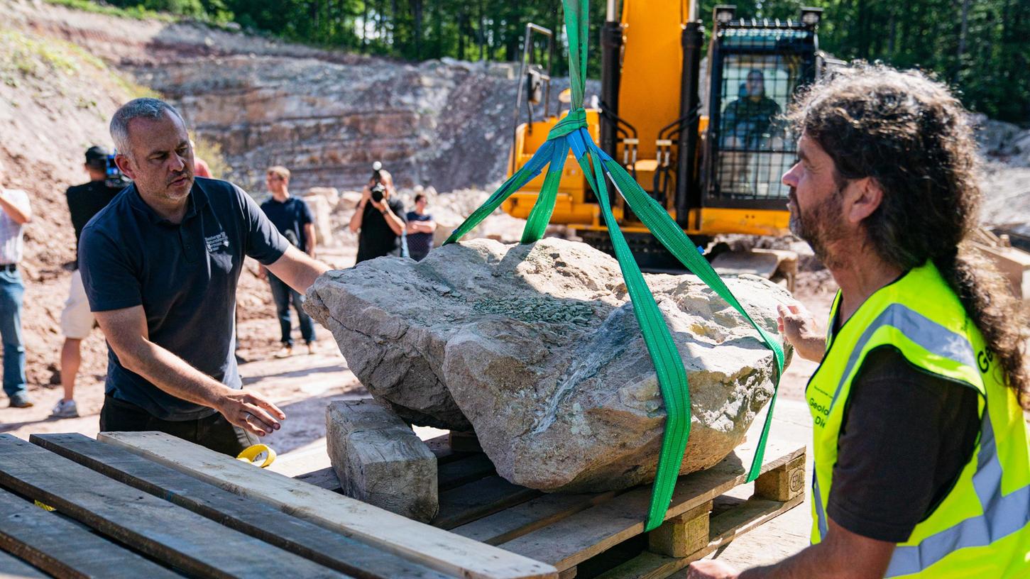 In einem Steinbruch im Steigerwald ist der Unterkiefer eines ca. 230 Millionen Jahren alten Cyclotosaurus gefunden worden.