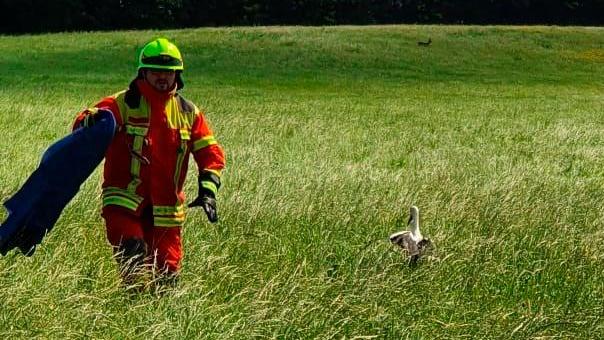 Auf einer Wiese zwischen Freystadt-Rettelloh und dem Stadtrand ließ Feuerwehrmann Alexander Kosinski den jungen Storch wieder frei.