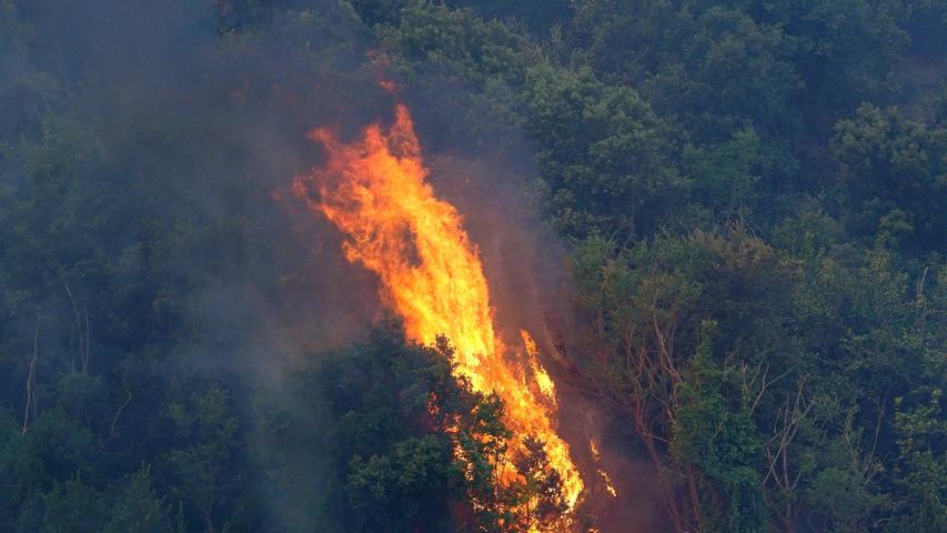 Am Sonntag kämpften mehr als 800 Feuerwehrleute gegen die verheerenden Waldbrände auf Sizilien. Bis zum Nachmittag seien die Helfer mehr als 650 Mal ausgerückt, teilte die Feuerwehr mit. Löschflugzeuge flogen Einsätze nicht nur in Sizilien, sondern auch in Kalabrien und der Adria-Region Apulien.