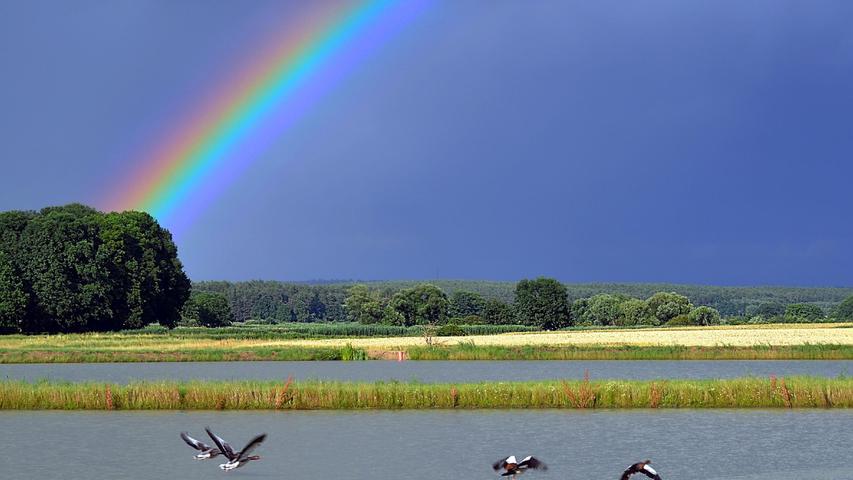 Im Naturschutzgebiet Mohrhof mit seinen schönen Teichen fühlt sich Nina Hock bei ihren Touren manchmal wie am Meer, hier ein Leserfoto mit Regenbogen von Berthold Raum.
