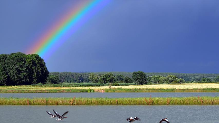 Im Naturschutzgebiet Mohrhof mit seinen schönen Teichen fühlt sich Nina Hock bei ihren Touren manchmal wie am Meer, hier ein Leserfoto mit Regenbogen von Berthold Raum.