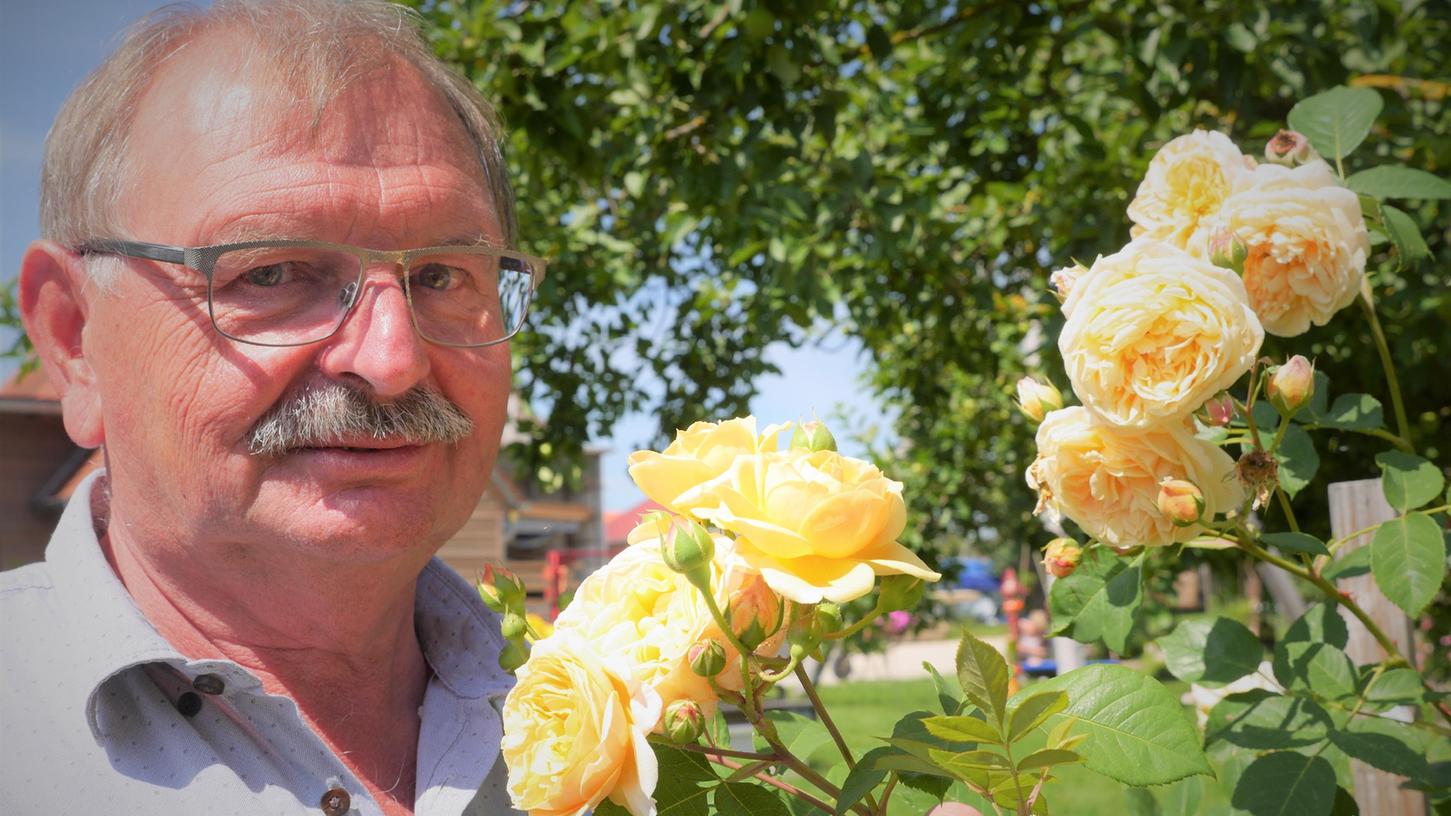 Rudi Büttner aus Sammenheim hat in seinem Garten 538 verschiedene Rosensorten. Hier sieht man ihn mit seiner englischen Rudi Büttner aus Sammenheim hat in seinem Garten 538 verschiedene Rosensorten. Hier sieht man ihn mit seiner englischen