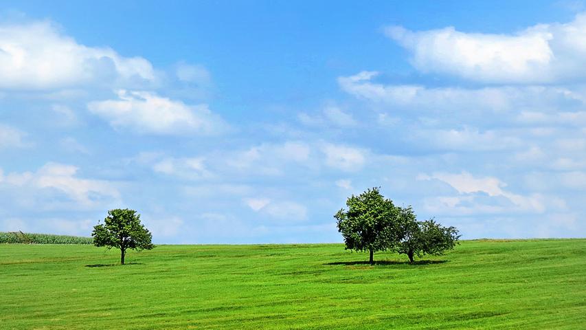 Fast könnte man im Nürnberger Land bei Schnaittach meinen, Corona bedingte Abstandsregeln gelten auch für Bäume. Auf jeden Fall haben die drei Bäume ihren festgewurzelten Platz auf der grünen Wiese und bilden ein schönes Trio vor dem heiteren Sommerhimmel. 
