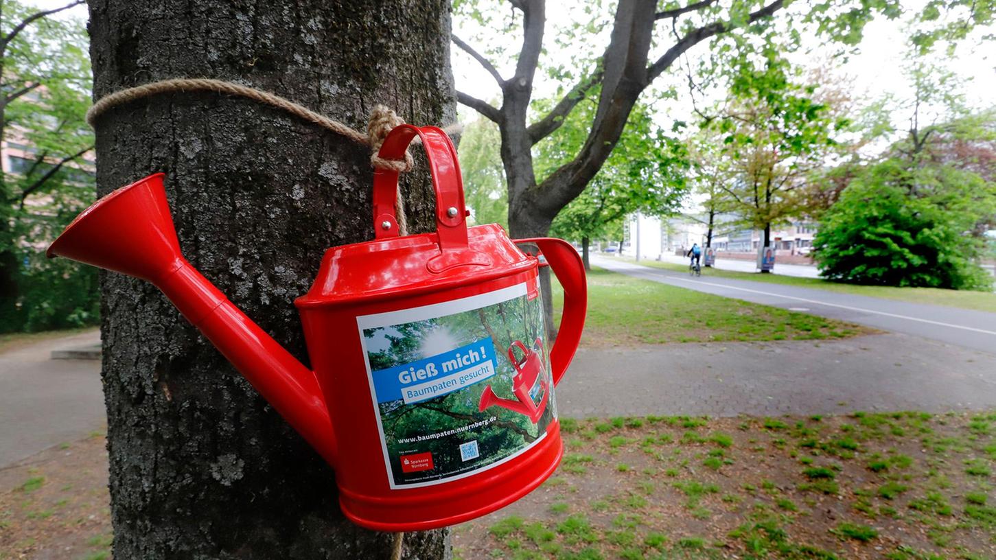 Hilfe für Bäume im Sommer: Der städtische Eigenbetrieb Sör gießt, aber auch die Anwohnerinnen und Anwohner sind gefragt.  