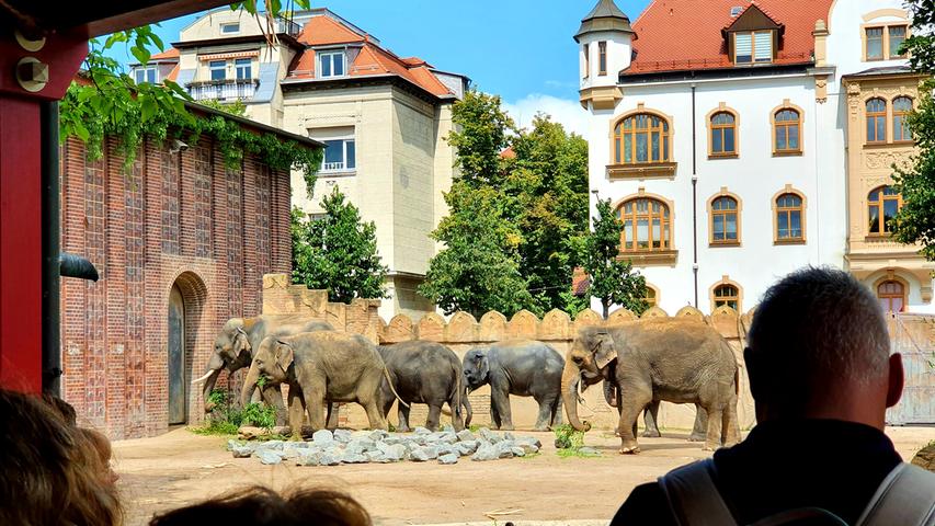 Der Elefantenpalast - im Hintergrund ragen ganz normale Mietshäuser über die Zoomauer - so nah ist der Zoo in der Stadt.