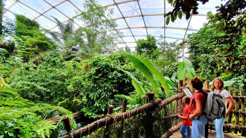Das Glanzlicht ist Gondwanaland, ein tropischer Dschungel in einer riesigen Halle, in der sich die Tiere frei bewegen können.