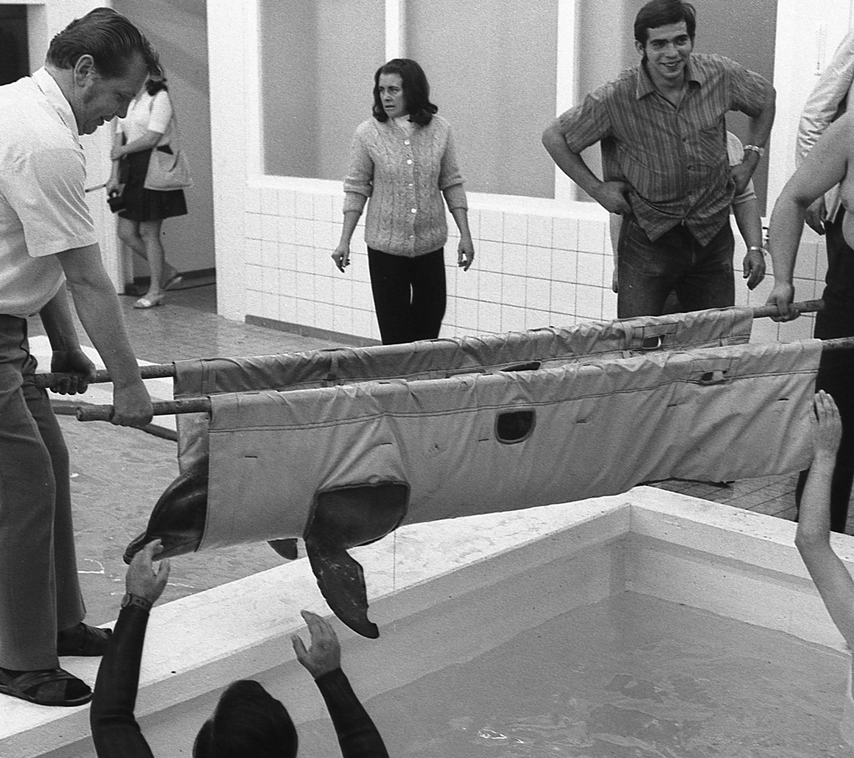 9. August 1971: In 30 Stunden von Florida nach Nürnberg 9. August 1971: In 30 Stunden von Florida nach Nürnberg
