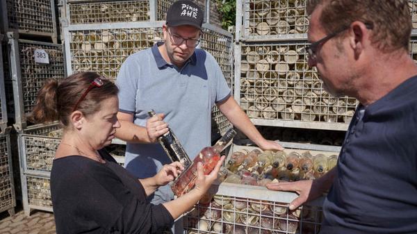 Winzer begutachten von der Flut in Bad Neuenahr-Ahrweiler überspülte Weinflaschen aus dem Keller eines Weinguts. Inzwischen gelten die Flaschen als Hoffnungszeichen, dass es nach dem Unglück wieder aufwärts geht - die Flaschen sind heiß begehrt.