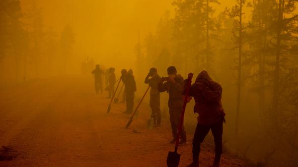 Waldbrände in Russland