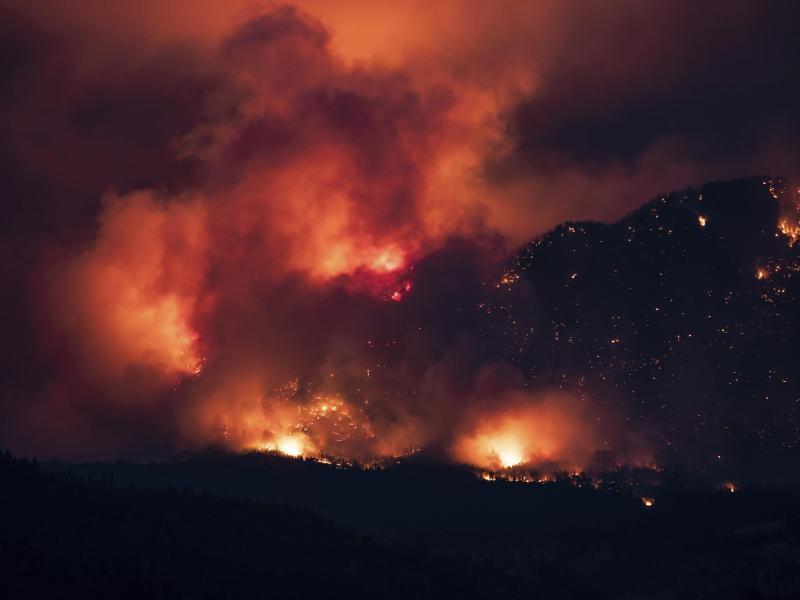 Wetterextreme plagen die USA_urn-newsml-dpa-com-20090101-210726-99-543820_large_4_3.jpg