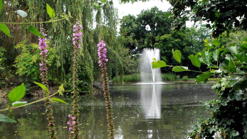 Auch am Wiwa-Weiher - dem "grünen Wohnzimmer" der Stadt Herzogenaurach - fühlen sich die Künstler wohl.