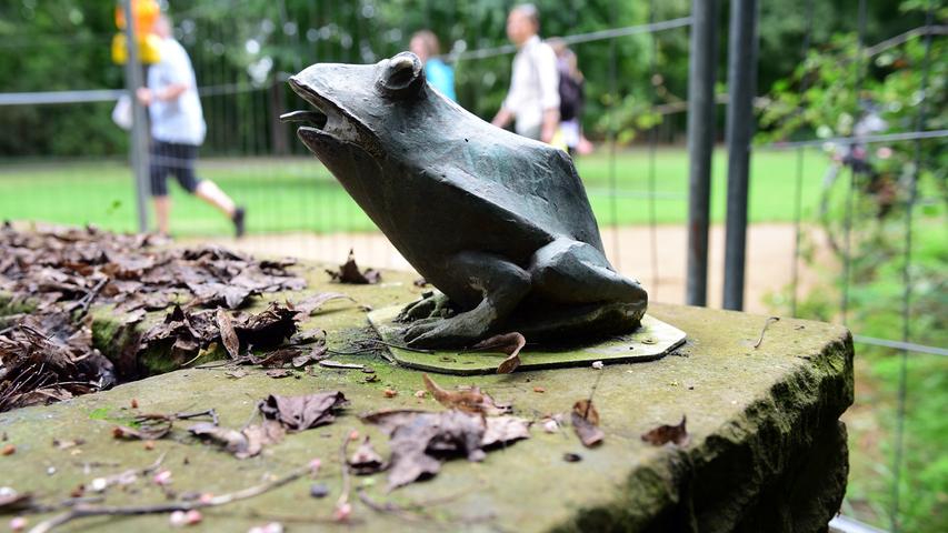 Er wird doch wohl nicht? Nein, dieser Frosch im Fürther Stadtpark hat nichts mit dem Frosch im Nürnberger Stadtpark zu tun, auch wenn er ihm sehr ähnlich sieht. 