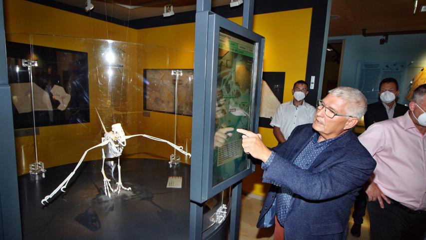 Die Archäopteryx-Nachbildung wird von den Besuchern im Bürgermeister-Müller-Museum auch immer ganz genau inspiziert.
Die Archäopteryx-Nachbildung wird von den Besuchern im Bürgermeister-Müller-Museum auch immer ganz genau inspiziert.