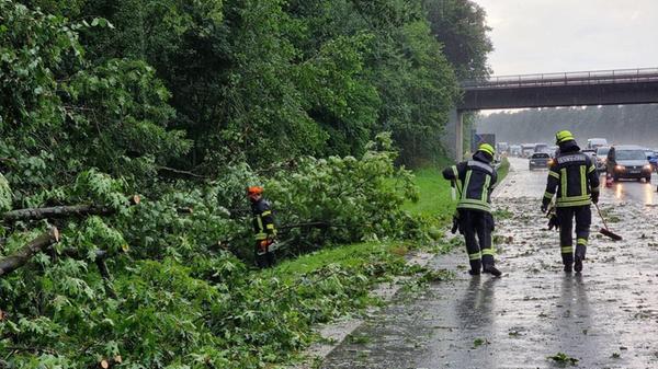Unwetter knickt Bäume auf A3