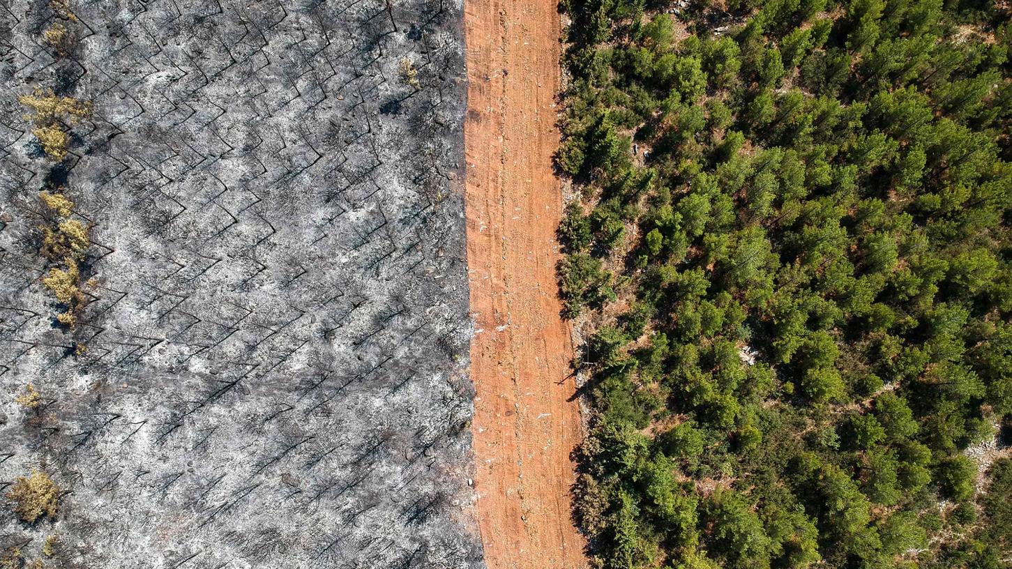 Ein Feuer hat einen Wald in der türkischen Provinz Mugla vernichtet: Der Planet wendet sich gegen die Menschen – und die reagieren nicht schnell genug, sagt Jesuit Jörg Alt.  
