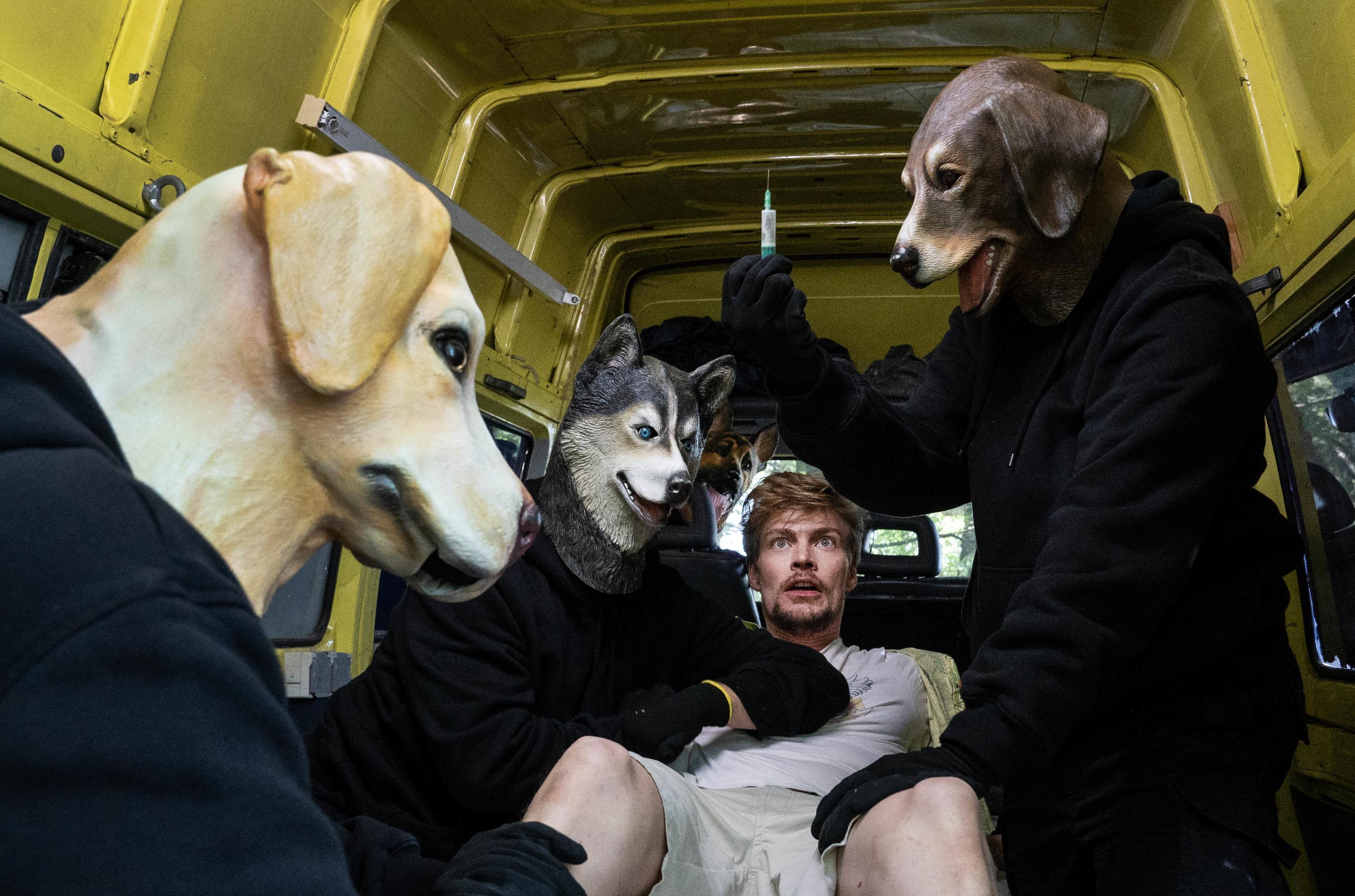 Borowski und der gute mensch hund