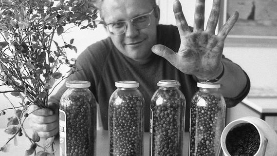 19. August 1971: Die Beeren sind reif: Zur Ernte in den Reichswald