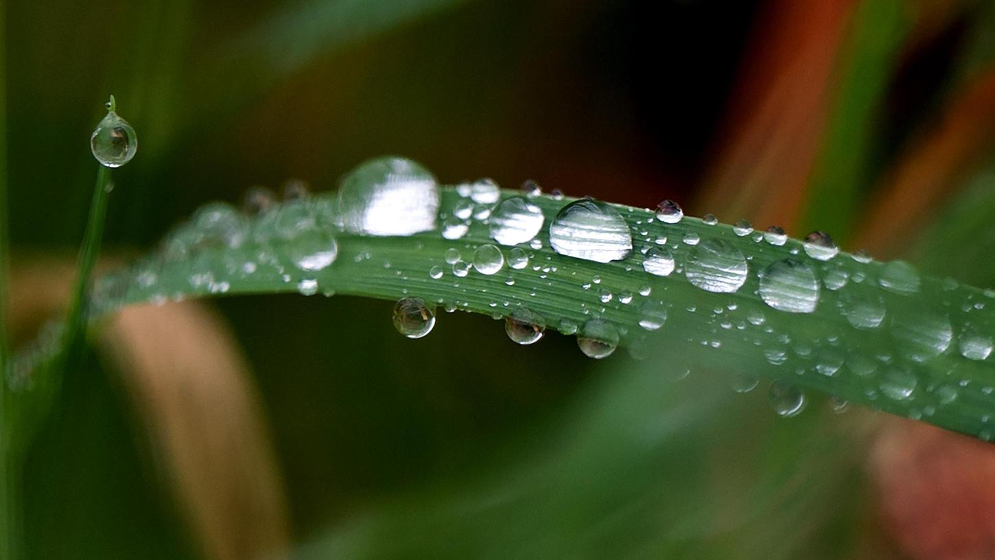 Zum Wochenende wird es nass - dafür erwarten uns mildere Temperaturen.
Zum Wochenende wird es nass - dafür erwarten uns mildere Temperaturen.