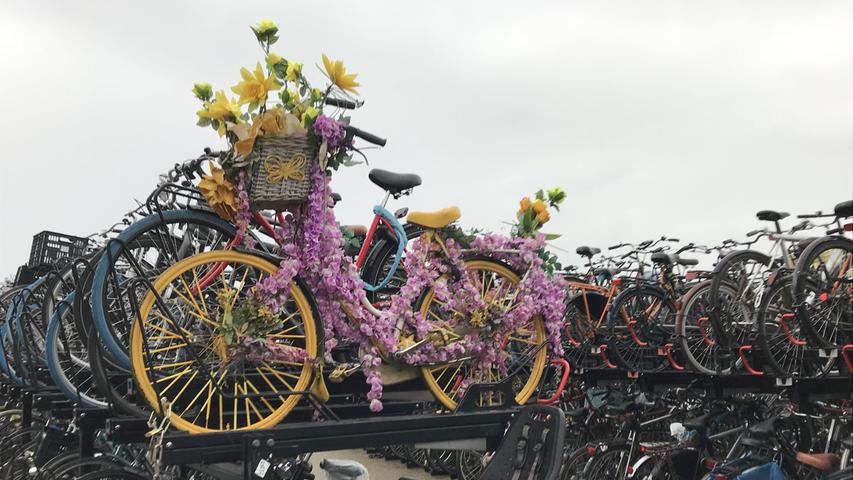 Der "FlowerBikeMan" sorgt mit dem Aufstellen von blumengeschmückten Rädern in Amsterdam für Aufsehen. So wir hier, auf einem großen Radabstellplatz, wenige Meter vom Hauptbahnhof entfernt. 
