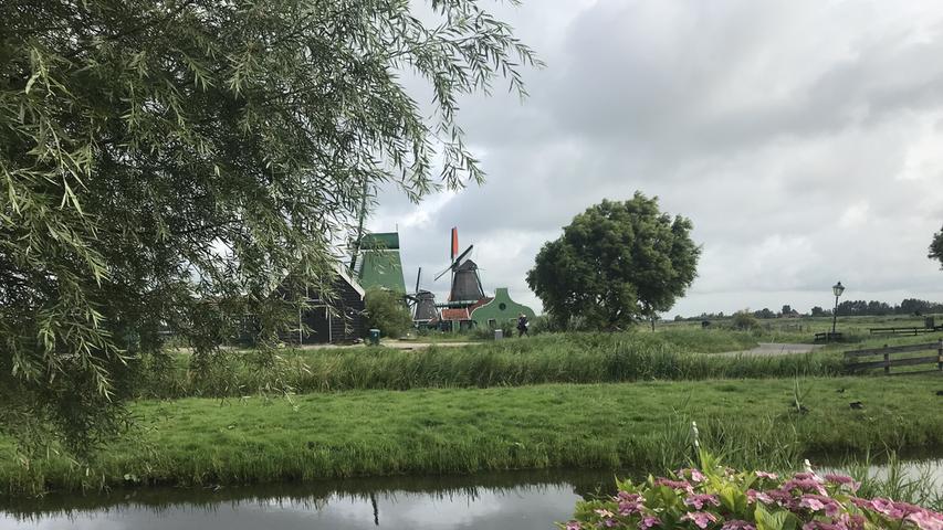Nicht nur im Museumsdorf Zasnse Schans in Zaandam sind historische Windmühlen zu sehen. Die charakteristischen Bauwerke begegnen den Reisenden überall im Land. 