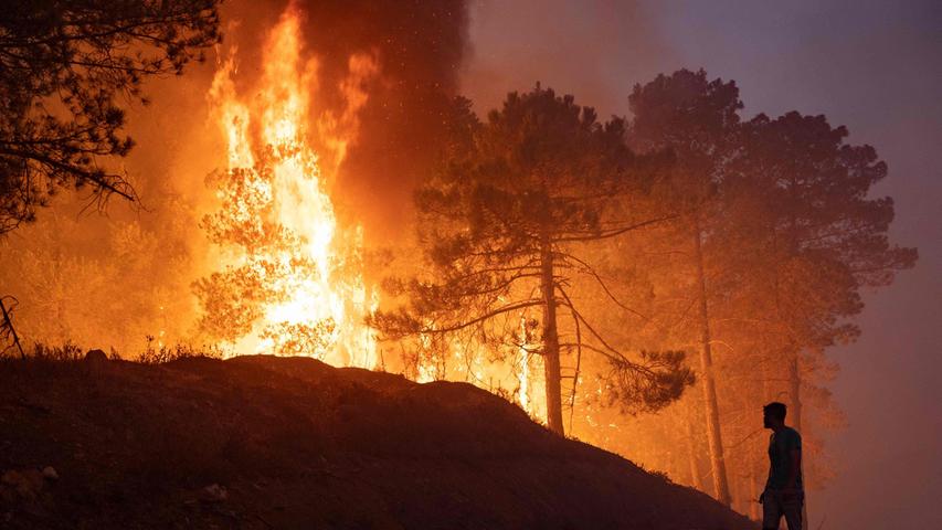 Temperaturen von bis zu 49 Grad Celsius heizten die Waldbrände im Norden Marokkos an.