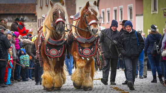 Berchinger Rossmarkt: Pferde-Nostalgie und deftige Politiker-Sprüche