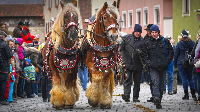 Pferde und Pferdemärkte haben in Berching seit mehr als 300 Jahren Tradition.  Der beliebte Berchinger Rossmarkt findet alljährlich am Mittwoch nach Lichtmess statt und ist besonders wegen der politischen Gastredner ein Publikumsmagnet.